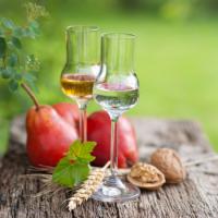 פוטנציאל אלכוהול בפירות ודגנים